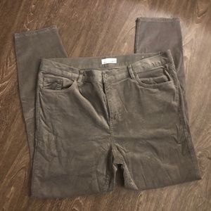 Loft modern skinny cords